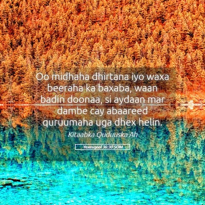 Picture 05 - Yexesqeel 36:30 SOM - Oo midhaha dhirtana iyo waxa beeraha ka baxaba, - Bible Verse Picture