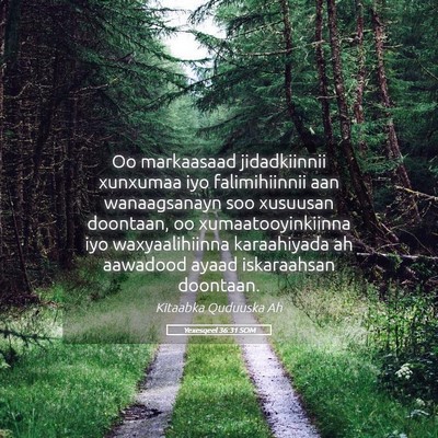Picture 05 - Yexesqeel 36:31 SOM - Oo markaasaad jidadkiinnii xunxumaa iyo - Bible Verse Picture