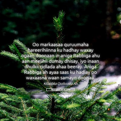 Picture 05 - Yexesqeel 36:36 SOM - Oo markaasaa quruumaha hareerihiinna ku hadhay - Bible Verse Picture