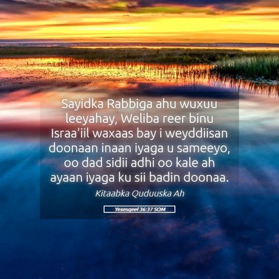 Picture 05 - Yexesqeel 36:37 SOM - Sayidka Rabbiga ahu wuxuu leeyahay, Weliba reer - Bible Verse Picture