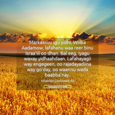 Picture 05 - Yexesqeel 37:11 SOM - Markaasuu igu yidhi, Wiilka Aadamow, lafahanu waa - Bible Verse Picture