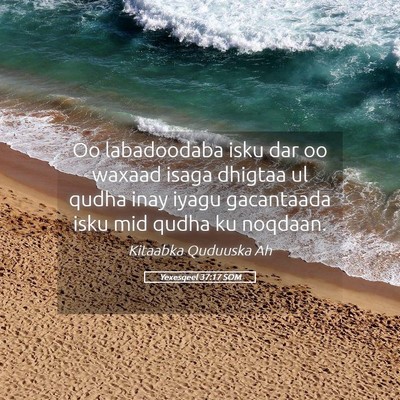Picture 05 - Yexesqeel 37:17 SOM - Oo labadoodaba isku dar oo waxaad isaga dhigtaa - Bible Verse Picture