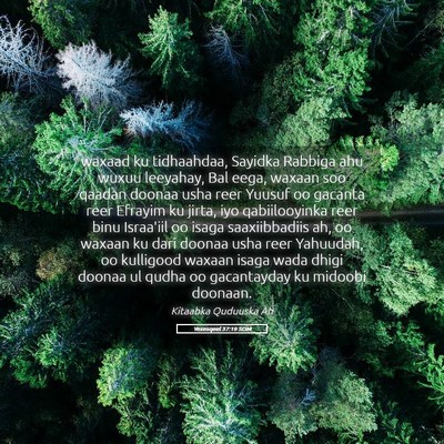 Picture 05 - Yexesqeel 37:19 SOM - waxaad ku tidhaahdaa, Sayidka Rabbiga ahu wuxuu - Bible Verse Picture