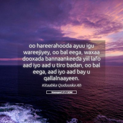 Picture 05 - Yexesqeel 37:2 SOM - oo hareerahooda ayuu igu wareejiyey, oo bal eega, - Bible Verse Picture