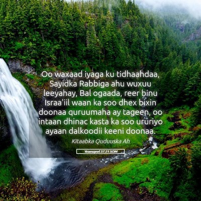 Picture 05 - Yexesqeel 37:21 SOM - Oo waxaad iyaga ku tidhaahdaa, Sayidka Rabbiga - Bible Verse Picture