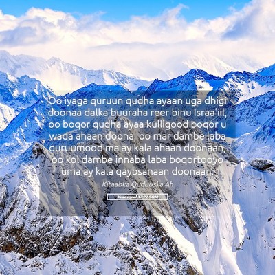 Picture 05 - Yexesqeel 37:22 SOM - Oo iyaga quruun qudha ayaan uga dhigi doonaa - Bible Verse Picture