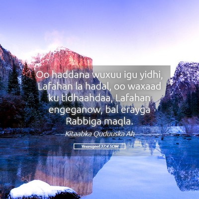 Picture 05 - Yexesqeel 37:4 SOM - Oo haddana wuxuu igu yidhi, Lafahan la hadal, oo - Bible Verse Picture