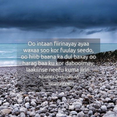 Picture 05 - Yexesqeel 37:8 SOM - Oo intaan fiirinayay ayaa waxaa soo kor fuulay - Bible Verse Picture