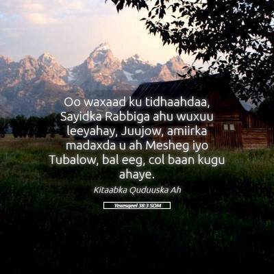 Picture 05 - Yexesqeel 38:3 SOM - Oo waxaad ku tidhaahdaa, Sayidka Rabbiga ahu - Bible Verse Picture
