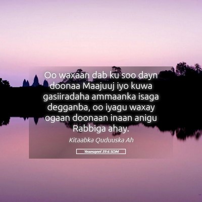 Picture 05 - Yexesqeel 39:6 SOM - Oo waxaan dab ku soo dayn doonaa Maajuuj iyo kuwa - Bible Verse Picture