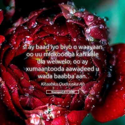 Picture 05 - Yexesqeel 4:17 SOM - si ay baad iyo biyo u waayaan oo uu midkoodba kan - Bible Verse Picture