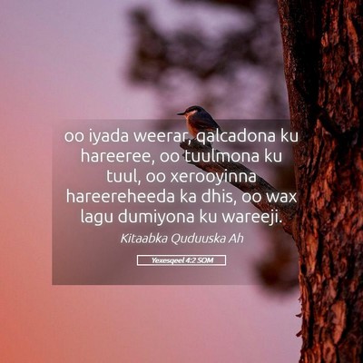 Picture 05 - Yexesqeel 4:2 SOM - oo iyada weerar, qalcadona ku hareeree, oo - Bible Verse Picture