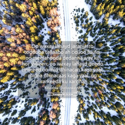 Picture 05 - Yexesqeel 40:26 SOM - Oo waxay lahayd jaranjarro toddoba tallaabo ah oo - Bible Verse Picture