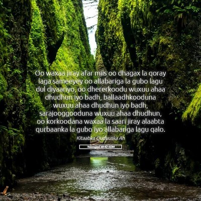 Picture 05 - Yexesqeel 40:42 SOM - Oo waxaa jiray afar miis oo dhagax la qoray laga - Bible Verse Picture
