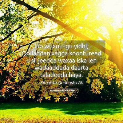 Picture 05 - Yexesqeel 40:45 SOM - Oo wuxuu igu yidhi, Qolladdan xagga koonfureed u - Bible Verse Picture