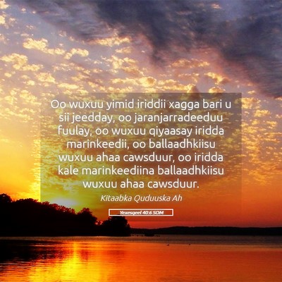 Picture 05 - Yexesqeel 40:6 SOM - Oo wuxuu yimid iriddii xagga bari u sii jeedday, - Bible Verse Picture
