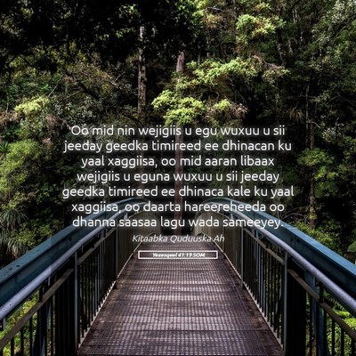 Picture 05 - Yexesqeel 41:19 SOM - Oo mid nin wejigiis u egu wuxuu u sii jeeday - Bible Verse Picture