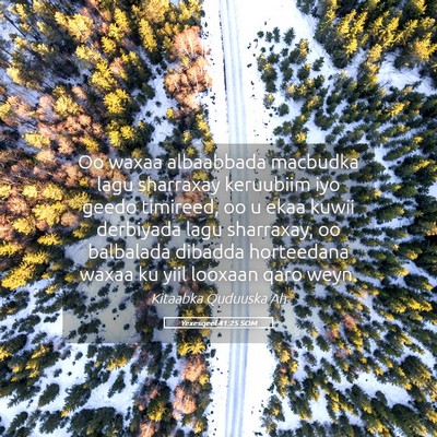 Picture 05 - Yexesqeel 41:25 SOM - Oo waxaa albaabbada macbudka lagu sharraxay - Bible Verse Picture