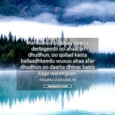 Picture 05 - Yexesqeel 41:5 SOM - Markaasuu qiyaasay daarta derbigeedii oo ahaa lix - Bible Verse Picture