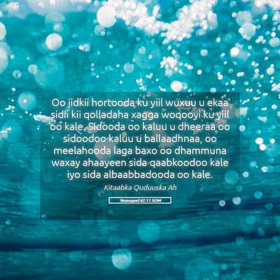 Picture 05 - Yexesqeel 42:11 SOM - Oo jidkii hortooda ku yiil wuxuu u ekaa sidii kii - Bible Verse Picture