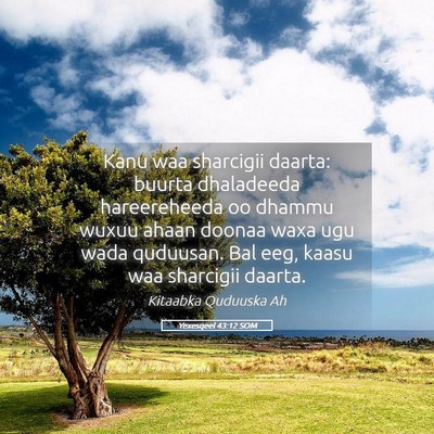 Picture 05 - Yexesqeel 43:12 SOM - Kanu waa sharcigii daarta: buurta dhaladeeda - Bible Verse Picture