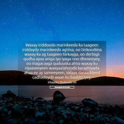 Picture 05 - Yexesqeel 43:8 SOM - Waxay iriddooda marinkeeda ka taageen iriddayda - Bible Verse Picture