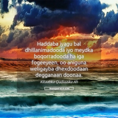 Picture 05 - Yexesqeel 43:9 SOM - Haddaba iyagu bal dhillanimadooda iyo meydka - Bible Verse Picture