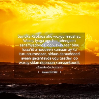 Picture 05 - Yexesqeel 44:12 SOM - Sayidka Rabbiga ahu wuxuu leeyahay, Waxay iyaga - Bible Verse Picture