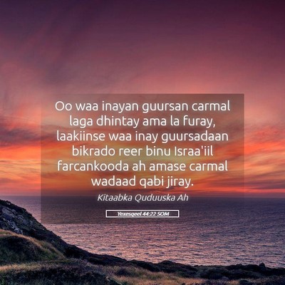 Picture 05 - Yexesqeel 44:22 SOM - Oo waa inayan guursan carmal laga dhintay ama la - Bible Verse Picture