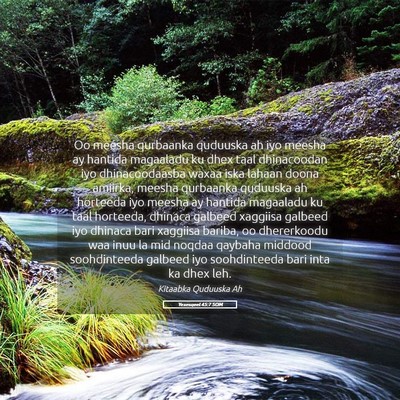 Picture 05 - Yexesqeel 45:7 SOM - Oo meesha qurbaanka quduuska ah iyo meesha ay - Bible Verse Picture