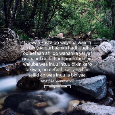 Picture 05 - Yexesqeel 46:5 SOM - Oo wan kasta oo weynba waa in lala bixiyaa - Bible Verse Picture