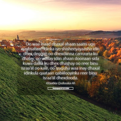 Picture 05 - Yexesqeel 47:22 SOM - Oo waa inaad dhaxal ahaan saami ugu qaybsataan - Bible Verse Picture