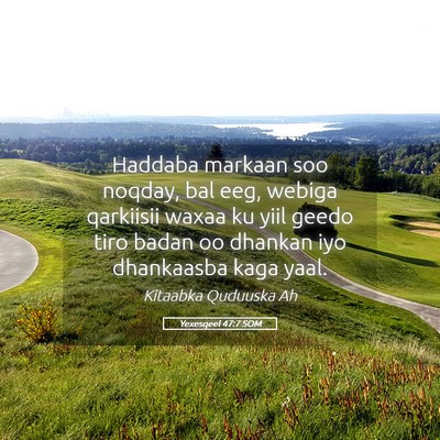 Picture 05 - Yexesqeel 47:7 SOM - Haddaba markaan soo noqday, bal eeg, webiga - Bible Verse Picture