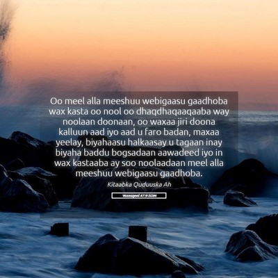Picture 05 - Yexesqeel 47:9 SOM - Oo meel alla meeshuu webigaasu gaadhoba wax kasta - Bible Verse Picture