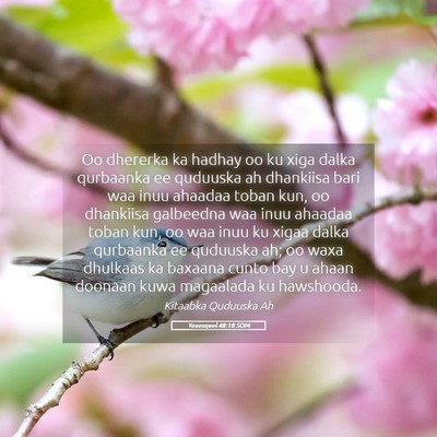 Picture 05 - Yexesqeel 48:18 SOM - Oo dhererka ka hadhay oo ku xiga dalka qurbaanka - Bible Verse Picture