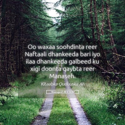 Picture 05 - Yexesqeel 48:4 SOM - Oo waxaa soohdinta reer Naftaali dhankeeda bari - Bible Verse Picture