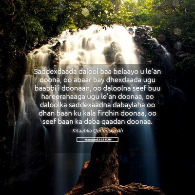 Picture 05 - Yexesqeel 5:12 SOM - Saddexdaada dalool baa belaayo u le'an doona, oo - Bible Verse Picture
