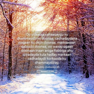 Picture 05 - Yexesqeel 5:13 SOM - Oo sidaasaa xanaaqaygu ku dhammaystirmi doonaa, - Bible Verse Picture