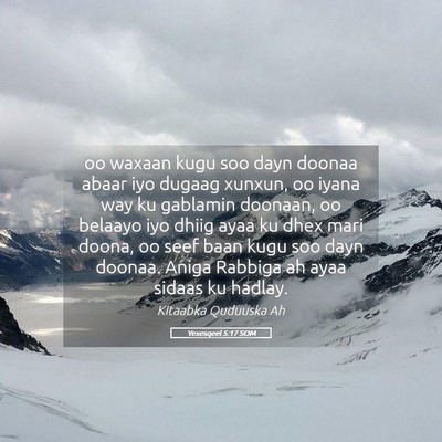 Picture 05 - Yexesqeel 5:17 SOM - oo waxaan kugu soo dayn doonaa abaar iyo dugaag - Bible Verse Picture