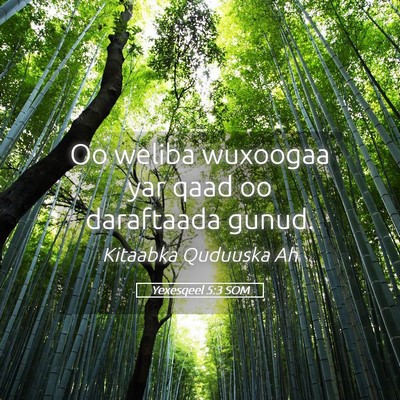 Picture 05 - Yexesqeel 5:3 SOM - Oo weliba wuxoogaa yar qaad oo daraftaada - Bible Verse Picture