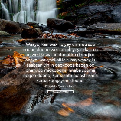 Picture 05 - Yexesqeel 7:13 SOM - Waayo, kan wax iibiyey uma uu soo noqon doono - Bible Verse Picture