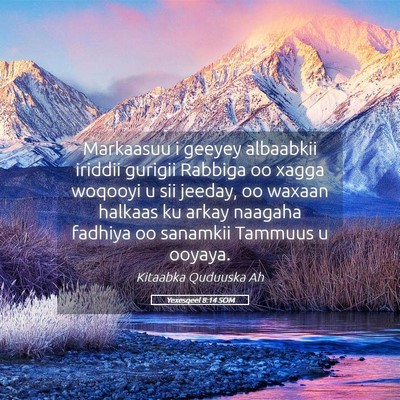 Picture 05 - Yexesqeel 8:14 SOM - Markaasuu i geeyey albaabkii iriddii gurigii - Bible Verse Picture