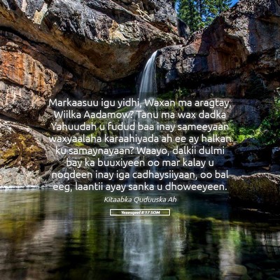Picture 05 - Yexesqeel 8:17 SOM - Markaasuu igu yidhi, Waxan ma aragtay, Wiilka - Bible Verse Picture