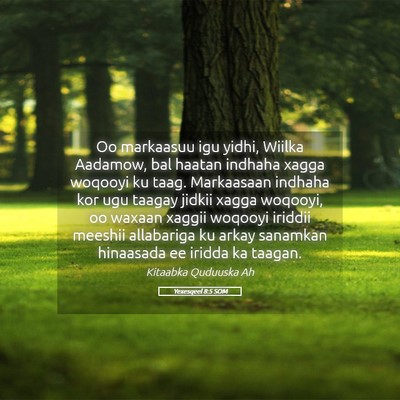 Picture 05 - Yexesqeel 8:5 SOM - Oo markaasuu igu yidhi, Wiilka Aadamow, bal - Bible Verse Picture
