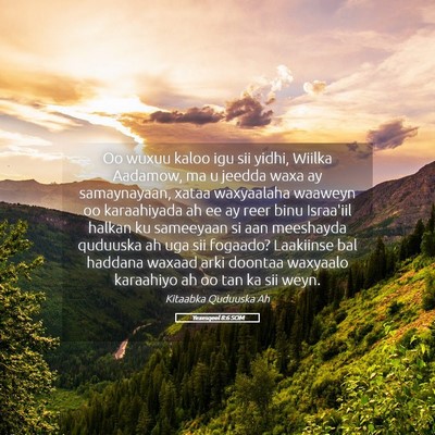 Picture 05 - Yexesqeel 8:6 SOM - Oo wuxuu kaloo igu sii yidhi, Wiilka Aadamow, ma - Bible Verse Picture