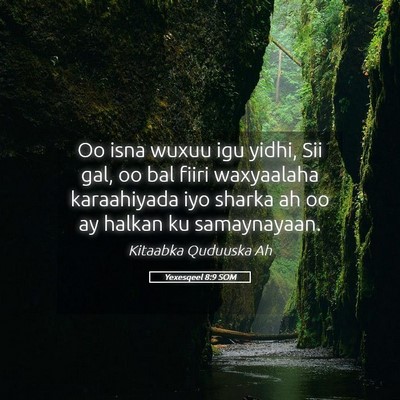 Picture 05 - Yexesqeel 8:9 SOM - Oo isna wuxuu igu yidhi, Sii gal, oo bal fiiri - Bible Verse Picture