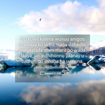 Picture 05 - Yexesqeel 9:5 SOM - Oo kuwii kalena wuxuu anigoo maqlaya ku yidhi, - Bible Verse Picture