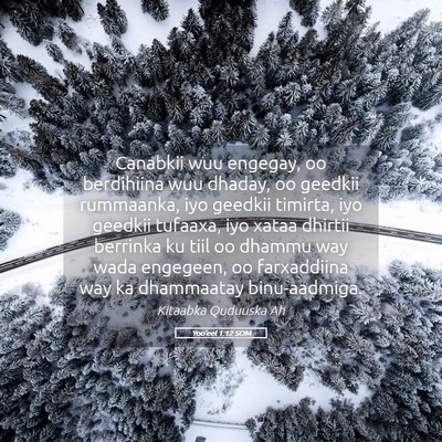 Picture 05 - Yoo'eel 1:12 SOM - Canabkii wuu engegay, oo berdihiina wuu dhaday, - Bible Verse Picture