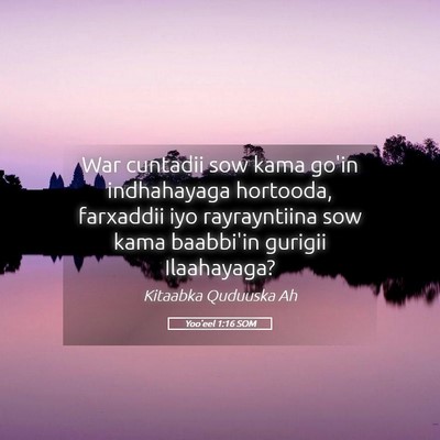 Picture 05 - Yoo'eel 1:16 SOM - War cuntadii sow kama go'in indhahayaga hortooda, - Bible Verse Picture