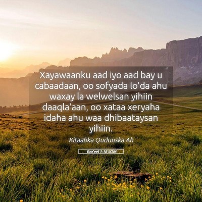 Picture 05 - Yoo'eel 1:18 SOM - Xayawaanku aad iyo aad bay u cabaadaan, oo - Bible Verse Picture